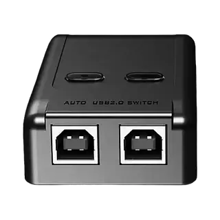 Switch 2 Port Usb Printer