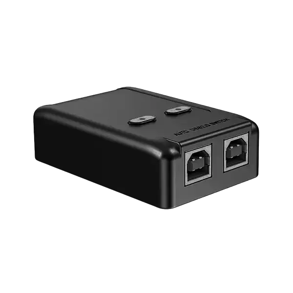 Switch 2 Port Usb Printer