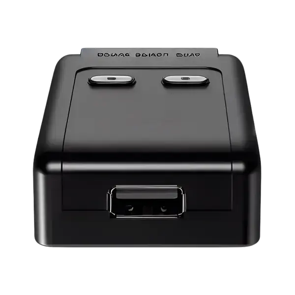 Switch 2 Port Usb Printer
